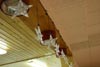gal/LA[N]dvent_2008_vom_ICB/_thb_IMG_8470.jpg